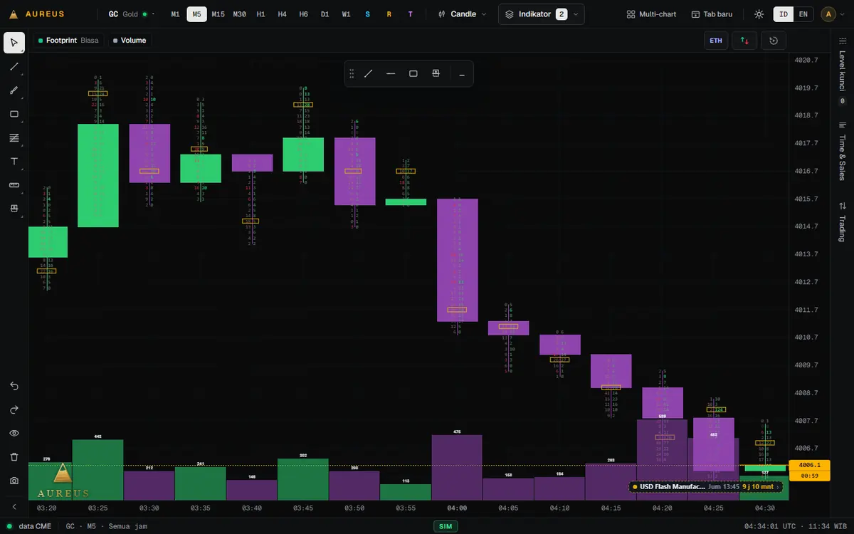 Footprint — Volume beli & jual di setiap harga di dalam candle, lengkap dengan delta dan POC.
